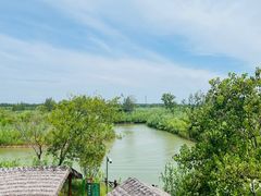 -泗洪洪泽湖湿地景区