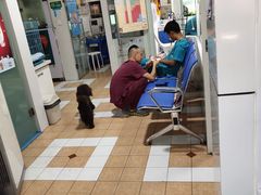 -西安京西宠物医院·瘫痪·疑难杂症