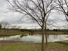 -金谷域澳洲庄园