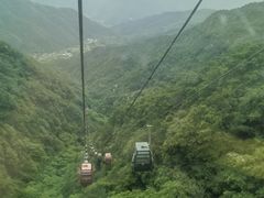 -王顺山国家森林公园