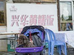 -台山第一家兴华黄鳝饭·黄鳝婆(彭沙坑总店)