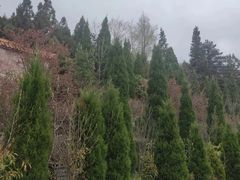 -罗田大别山峡谷漂流