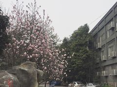 -重庆彩云湖湿地公园