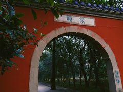 -灵谷景区