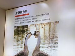 -陆记鹅庄·潮汕菜·狮头鹅(大仟里店)