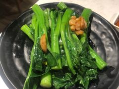 -裕.鹅庄