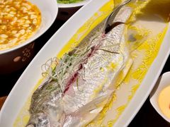 -苏帮袁Sue Cuisine(将台店)