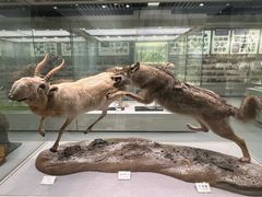 -北京中医药大学-中医药博物馆