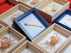 -摩登百货(岗顶店)