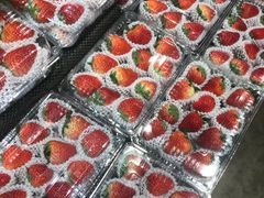 -水果地带(中航国际店)