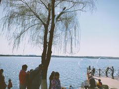 -丁香湖公园