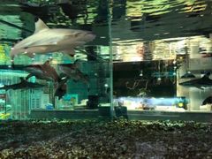 -趣陶陶艺手工坊(新世界百货重庆店)