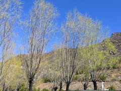 -百花人家(清水田园店)