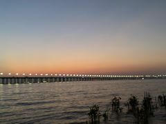 -宝安西湾红树林湿地公园