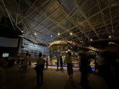 -世界恐龙谷景区