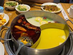 -青瓷火锅料理(西单大悦城店)