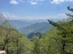 -朱雀国家森林公园