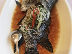 -骏莱海鲜鱼港(五角场店)