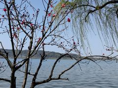-西湖天地