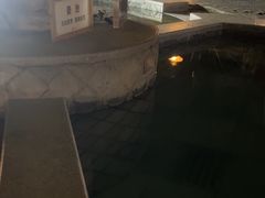 -碧水湾温泉
