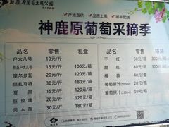 -白鹿原葡萄主题公园