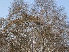 -明故宫遗址公园
