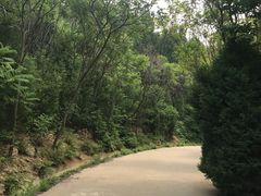 -府君山公园