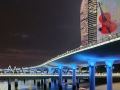 -演武大桥观景平台