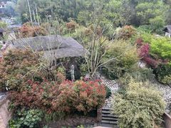 -看见远方·莫干遥远的山民宿