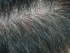 -丽市酒店(苏州平江观前街店)