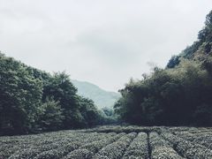 -杭州西湖风景名胜区-三生石
