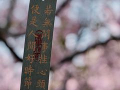 -静安雕塑公园