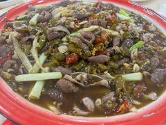 -东吴霸王兔(松青路店)