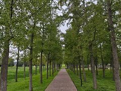 -汉长安城未央宫国家考古遗址公园