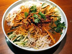 东北大拉皮-黑土印象菜馆(三元桥店)