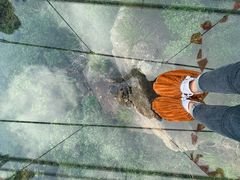 -宁波五龙潭景区