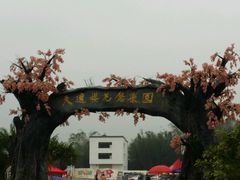 -天适樱花悠乐园