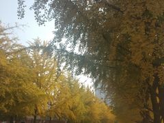 -辽宁大学(崇山校区)