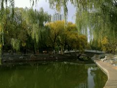 -满都海公园
