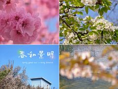 -元大都城垣遗址公园