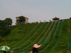 android_upload_pic-南戴河国际娱乐中心