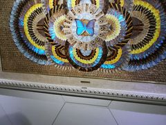 -上海昆虫博物馆