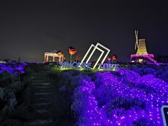 -大塘金香草谷