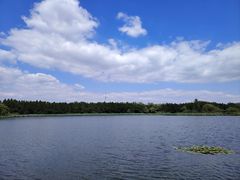 -溱湖国家湿地公园