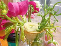 -山茶云南菜(中关村店)