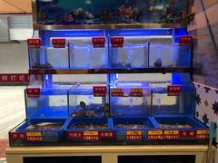 -小龍鳳·港式海鲜打边炉(沙湖路店)