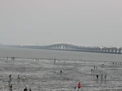 -南汇新城海滩