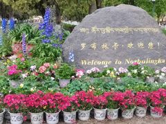 -罗布林卡