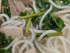 -萨尔瓦多Salvador's