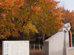 -长春世界雕塑园冰雪艺术天地